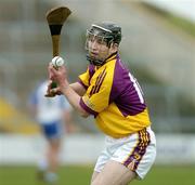 18 February 2007; Michael Jacob, Wexford. Allianz National Hurling League, Division 1A, Round 1, Wexford v Waterford, Wexford Park, Wexford. Picture credit: Matt Browne / SPORTSFILE
