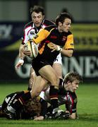 16 February 2007; Phillip Dollman, Dragons. Magners League, Ulster v Dragons, Ravenhill Park, Belfast, Co. Antrim. Picture credit: Oliver McVeigh / SPORTSFILE