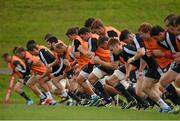 23 September 2014; A general view of Munster squad training ahead of their Guinness PRO12, Round 4, match against Ospreys on Saturday. Munster Rugby Squad Training and Press Conference, University of Limerick, Limerick. Picture credit: Diarmuid Greene / SPORTSFILE