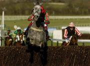 16 March 2004; Fork Lightning, with Richard Thornton up, jumps the last on their way to winning the William Hill National Hunt Handicap Chase during Day One of the Cheltenham Racing Festival at Prestbury Park in Cheltenham, England. Photo by Pat Murphy/Sportsfile