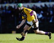 4 March 2007; Stephen Banville, Wexford. Allianz National Hurling League, Division 1A Round 2, Clare v Wexford, Cusack Park, Ennis, Co. Clare. Picture credit: Ray McManus / SPORTSFILE