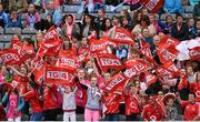 28 September 2014; Cork supporters cheer on their side during the game. TG4 All-Ireland Ladies Football Senior Championship Final, Cork v Dublin. Croke Park, Dublin. Picture credit: Brendan Moran / SPORTSFILE