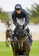 14 September 2014; Fountain Of Youth, with Seamie Heffernan up, canters to the start of the Derrinstown Stud Flying Five Stakes. Curragh Racecourse, The Curragh, Co. Kildare. Picture credit: Pat Murphy / SPORTSFILE