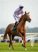 14 September 2014; Dutch Connection, with George Baker up, canters to the start of the Goffs Vincent O'Brien National Stakes. Curragh Racecourse, The Curragh, Co. Kildare. Picture credit: Pat Murphy / SPORTSFILE