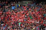28 September 2014; Cork supporters cheer on their side during the TG4 All-Ireland Ladies Football Finals Day. Croke Park, Dublin. Picture credit: Brendan Moran / SPORTSFILE