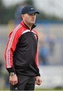 5 October 2014; Ballygunner manager Fergal Hartley. Waterford County Senior Hurling Championship Final, Ballygunner v Mount Sion. Walsh Park, Waterford. Picture credit: Matt Browne / SPORTSFILE