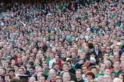 24 March 2007; Republic of Ireland supporters watch on during the game. 2008 European Championship Qualifier, Republic of Ireland v Wales, Croke Park, Dublin. Picture credit: David Maher / SPORTSFILE