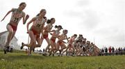 31 March 2007; Start of the Junior Girls 3,000m race. KitKat SIAB Cross Country International. St. Clare's, Dublin City University, Dublin. Picture credit: Tomás Greally / SPORTSFILE