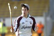 1 April 2007; James Skehill, Galway. Allianz National Hurling League, Division 1B Round 5, Kilkenny v Galway, Nowlan Park, Kilkenny. Picture credit: Ray Lohan / SPORTSFILE *** Local Caption ***