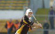 1 April 2007; P.J. Ryan, Kilkenny, Allianz National Hurling League, Division 1B Round 5, Kilkenny v Galway, Nowlan Park, Kilkenny. Picture credit: Ray Lohan / SPORTSFILE *** Local Caption ***