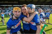 12 October 2014; Eanna Martin, left, Eoin Quigley and Ray Ryan, right, Sarsfields, celebrate their side's victory. Cork County Senior Hurling Championship Final, Glen Rovers v Sarsfields. Pairc Ui Chaoimh, Cork. Picture credit: Stephen McCarthy / SPORTSFILE