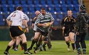 17 October 2014; Action from the Bank of Ireland half-time mini game between Greystones' Seagulls and Westmanstown Taggers. British & Irish Cup, Round 2, Leinster A v Jersey. Donnybrook Stadium, Donnybrook, Dublin. Picture credit: Stephen McCarthy / SPORTSFILE