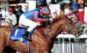 2 October 1999; Admiral's Cup, with Michael Kinane up, on their way to Axa European Breeders Fund at the Curragh Racecourse in Kildare. Photo by Sportsfile