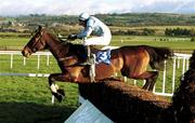 4 December 1999; Buck Rogers, with Ken Whelan up, jump the last on their way to winning the John Durkan Memorial Punchestown Chase at Punchestown Racecourse in Naas, Kildare. Photo by Sportsfile