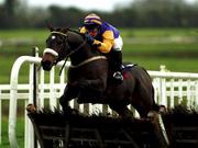 27 November 1999; Fable, with Paul Carberry up, on their way to winning the Fairyhouse Juvenile Hurdle at Fairyhouse Racecourse in Ratoath, Meath. Photo by Sportsfile