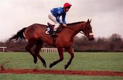 28 November 1999; Feathered Leader canters to the start for the C.P.M. Drinmore Novice Chase at Fairyhouse Racecourse in Ratoath, Meath. Photo by Damien Eagers/Sportsfile