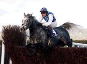 6 November 1999;  Ferbet Junior, with Barry Geraghty up, during the James Nicholson Wine Merchant Champion Steeplechase at Down Royal in Lisburn, Down. Photo by Sportsfile