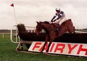 28 November 1999; Alexander Banquet, with Barry Geraghty up, clears the last to win The C.P.M Drinmore Novice Steeplechase at Fairyhouse Racecourse in Ratoath, Meath. Photo by Damien Eagers/Sportsfile