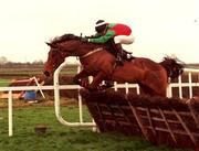 28 November 1999; Limestone Lad with Shane McGovern up clears the last to win The Duggan Brothers Hatton's Grace Hurdle at Fairyhouse Racecourse in Ratoath, Meath. Photo by Damien Eagers/Sportsfile