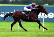 25 October 1999; Monashee Mountain, with Michael Kinane up, on their way to winning the Killavullan Stakes at Leopardstown Racecourse in Dublin. Photo by Sportsfile