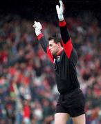 18 September 1994; Down goalkeeper Neil Collins during the Bank of Ireland All-Ireland Senior Football Championship Final match between Down and Dublin at Croke Park in Dublin. Photo by Ray McManus/Sportsfile