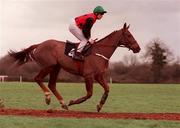 28 November 1999; Rathdown Prince, with Kieran Kelly up, at Fairyhouse Racecourse in Ratoath, Meath. Photo by Damien Eagers/Sportsfile