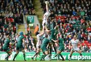 18 October 2014; Robbie Diack, Ulster, wins possession in a lineout. European Rugby Champions Cup 2014/15, Pool 3, Round 1, Leicester Tigers v Ulster, Welford Road, Leicester, England. Picture credit: John Dickson / SPORTSFILE