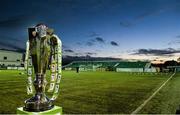 24 October 2014; General View of the trophy. SSE Airtricity League Premier Division, Dundalk v Cork City, Oriel Park, Dundalk, Co. Louth.  Picture credit: David Maher / SPORTSFILE