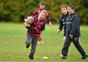 28 October 2014; Evan Cole during the Leinster School of Excellence on Tour in Athboy RFC. Athboy RFC, Co. Meath. Picture credit: Barry Cregg / SPORTSFILE