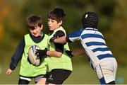 29 October 2014; Conor Ferris, left, in action against Niall O'Hanlon, right, during the Leinster School of Excellence on Tour in Cill Dara RFC, Cill Dara RFC, Co. Kildare. Picture credit: Barry Cregg / SPORTSFILE
