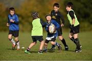29 October 2014; Keith Holligan, centre, in action against Gráinne Keogh, left, Sam Watson, and Conor Ferris, right, during the Leinster School of Excellence on Tour in Cill Dara RFC, Cill Dara RFC, Co. Kildare. Picture credit: Barry Cregg / SPORTSFILE