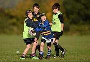 29 October 2014; Keith Holligan, centre, in action against Gráinne Keogh, left, Sam Watson, and Conor Ferris, right, during the Leinster School of Excellence on Tour in Cill Dara RFC, Cill Dara RFC, Co. Kildare. Picture credit: Barry Cregg / SPORTSFILE