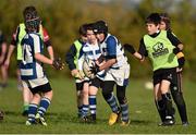 29 October 2014; Niall O'Hanlon, centre, in action against Kieran Doyle, left, and Conor Ferris, during the Leinster School of Excellence on Tour in Cill Dara RFC, Cill Dara RFC, Co. Kildare. Picture credit: Barry Cregg / SPORTSFILE
