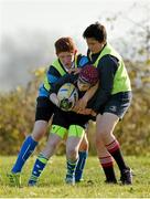 29 October 2014; Eoghan McGrath, centre, in action against Jake O'Brien, left, and John Starlin during the Leinster School of Excellence on Tour in Cill Dara RFC, Cill Dara RFC, Co. Kildare. Picture credit: Barry Cregg / SPORTSFILE