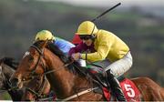 29 October 2014; Stop Road Lad, right, with Martin Burke up, on their way to winning The Panoramic Restaurant Package Handicap Hurdle. Punchestown Racecourse, Punchestown, Co. Kildare. Picture credit: Barry Cregg / SPORTSFILE