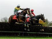 29 October 2014; Jack the Hat, right, with Sean Flanagan up, just the last behind Kilmurry Kid, with Ian McCarthy up, on their way to winning The Punchestown Annual Membership 2015 Handicap Steeplechase. Punchestown Racecourse, Punchestown, Co. Kildare. Picture credit: Barry Cregg / SPORTSFILE