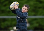 30 October 2014; Matthew McGuire, from Ratoath, Co. Meath, in action during the Leinster School of Excellence on Tour in Westmanstown RFC, Westmanstown, Co. Dublin. Picture credit: Matt Browne / SPORTSFILE