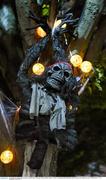 31 October 2014; Halloween decorations at the RDS ahead of the game. Guinness PRO12, Round 7, Leinster v Edinburgh, RDS, Ballsbridge, Dublin. Picture credit: Stephen McCarthy / SPORTSFILE