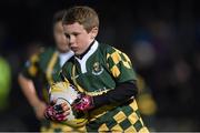 31 October 2014; Action from the half-time mini games featuring West Offaly Lions RFC in action against Gorey RFC. Guinness PRO12, Round 7, Leinster v Edinburgh, RDS, Ballsbridge, Dublin. Picture credit: Matt Browne / SPORTSFILE