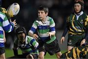 31 October 2014; Action from the half-time mini games featuring Gorey RFC in action against West Offaly Lions RFC. Guinness PRO12, Round 7, Leinster v Edinburgh, RDS, Ballsbridge, Dublin. Picture credit: Matt Browne / SPORTSFILE