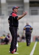 20 May 2007; Eamon McEneaney, Louth Manager. Bank of Ireland Leinster Senior Football Championship, Louth v Wicklow, Croke Park, Dublin. Picture credit: Ray Lohan / SPORTSFILE  *** Local Caption ***