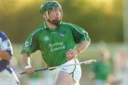 12 May 2007; Andrew O'Shaughnessy, Limerick. Allianz National Hurling League, Limerick v Laois,  McDonagh Park, Nenagh, Co. Tipperary. Picture credit: Matt Browne / SPORTSFILE