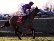 8 January 2000; Afrostar, with Gareth Cotter up, make their way to the start ahead of the Ladbroke Hurdle at Leopardstown Racecourse in Dublin. Photo by Damien Eagers/Sportsfile