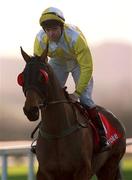 8 January 2000; Derrymoyle, with Conor O'Dwyer up, canter to the start ahead of the Ladbroke Hurdle at Leopardstown Racecourse in Dublin. Photo by Ray McManus/Sportsfile