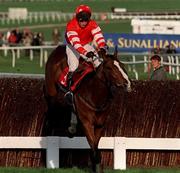 18 March 1998; Florida Pearl, with Richard Dunwoody up, jumps the last on the way to winning the Royal & Sunalliance Chase during Day Two of the Cheltenham Racing Festival at Prestbury Park in Cheltenham, England. Photo by Matt Browne/Sportsfile