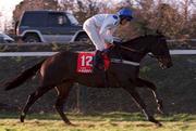 8 January 2000; Geos, with Barry Geraghty up, ahead of the Ladbroke Hurdle at Leopardstown Racecourse in Dublin. Photo by Damien Eagers/Sportsfile