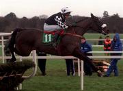 27 December 1999; Good Potential, with Shane McGovern up, jumps the last during the Paddy Power Festival 3-Y-O Hurdle at Leopardstown Racecourse in Dublin. Photo by Matt Browne/Sportsfile