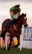 23 January 2000; Istabraq, with Charlie Swan up, on their way to winning the AIG Europe Champion Hurdle at Leopardstown Racecourse in Dublin. Photo by Ray Lohan/Sportsfile