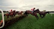 27 December 1998; Shannon Gale, with Fran Berry up, 13, and The Cushman, with Seamus Durack up, 14, lead the field during the Stakis Casinos Handicap Hurdle at Leopardstown Racecourse in Dublin. Photo by Ray McManus/Sportsfile