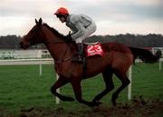 9 January 1999; No Avail with Derek McCullagh up canter to the start for the Ladbroke Hurdle at Leopardstown Racecourse in Dublin. Photo by Ray McManus/Sportsfile